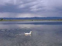 Becker Lake